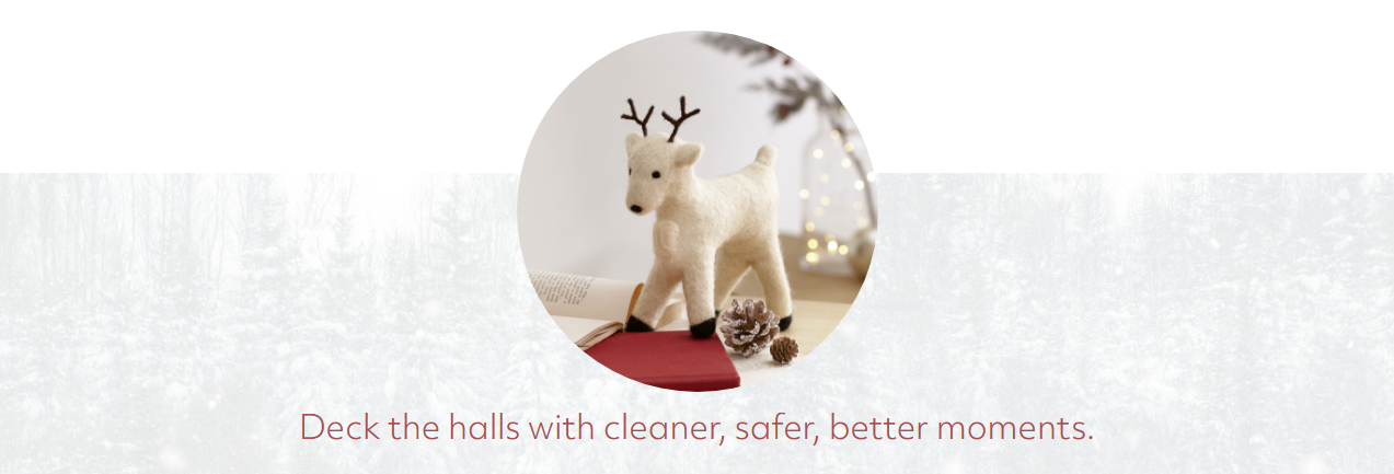 Norwex Canada Christmas Holiday Gift Guide 2025